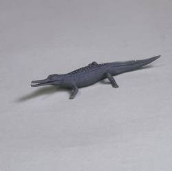 Gavial Crocodile